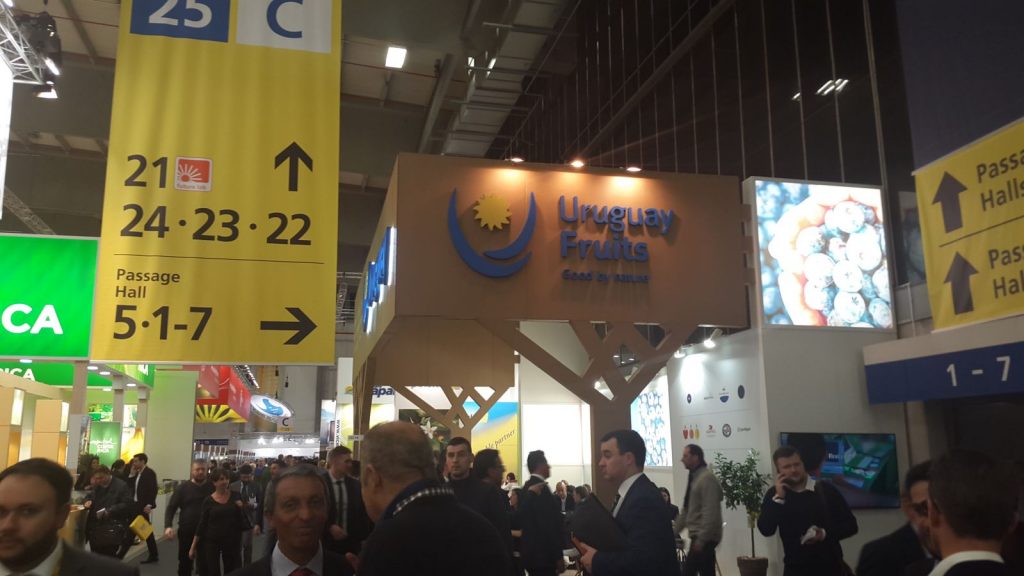 20160203_153908-1024x576