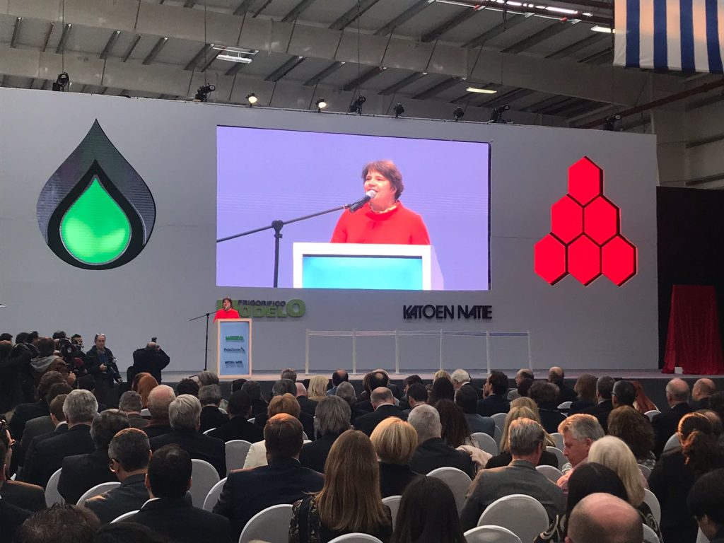 IMG-20180628-WA0065-1