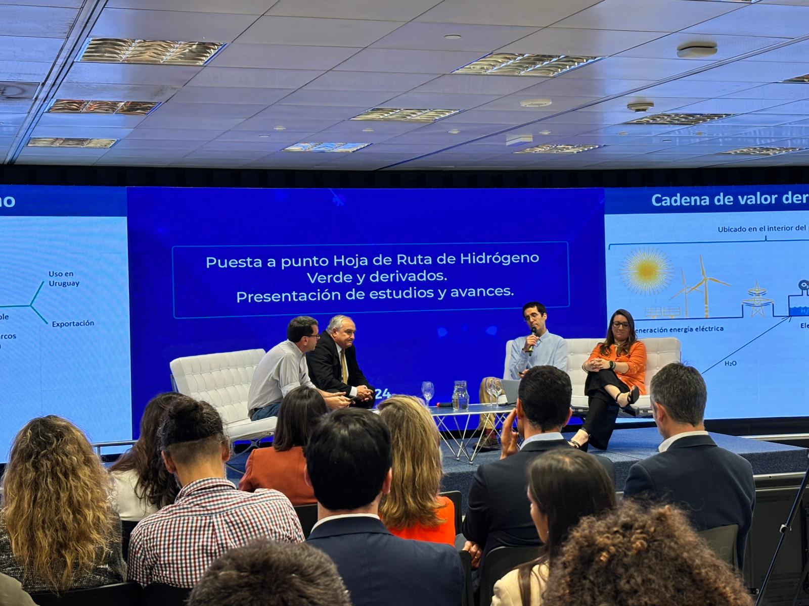 Puesta a punto de la HdR del Hidrógeno Verde y derivados