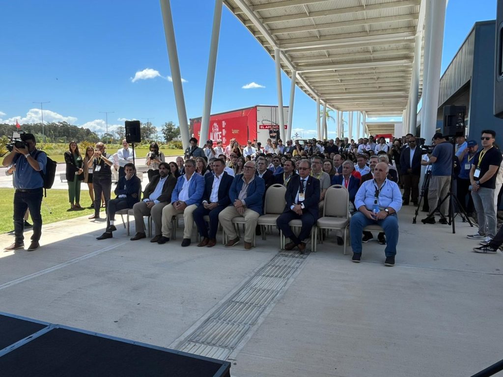 WhatsApp Image 2025-12-03 at 16.33.13